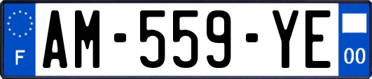 AM-559-YE
