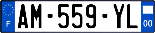 AM-559-YL