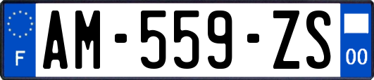 AM-559-ZS