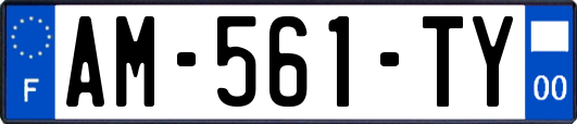 AM-561-TY