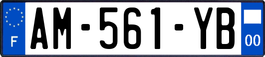 AM-561-YB