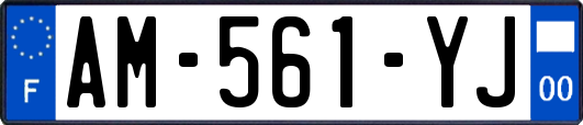 AM-561-YJ