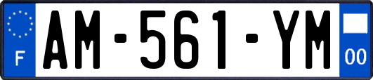 AM-561-YM