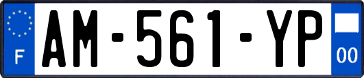 AM-561-YP