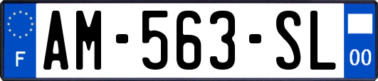 AM-563-SL