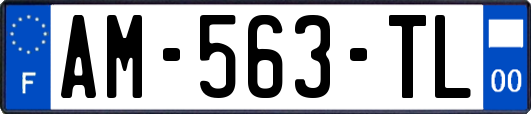 AM-563-TL