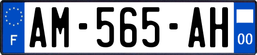 AM-565-AH