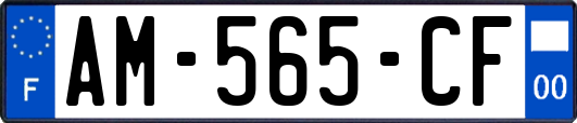 AM-565-CF
