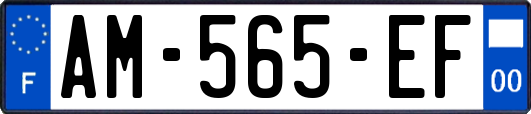 AM-565-EF