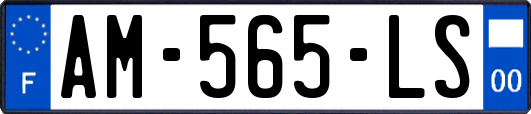 AM-565-LS