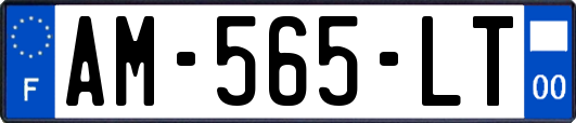 AM-565-LT