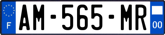 AM-565-MR