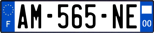 AM-565-NE