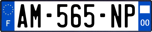 AM-565-NP