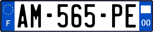 AM-565-PE