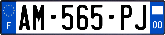 AM-565-PJ