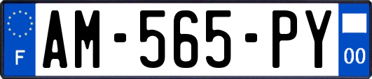 AM-565-PY