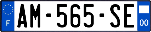 AM-565-SE
