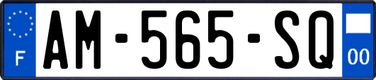 AM-565-SQ