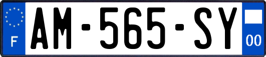 AM-565-SY