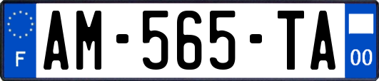 AM-565-TA