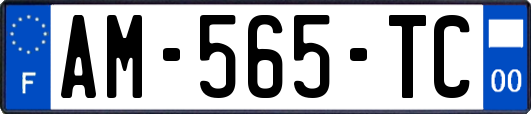 AM-565-TC