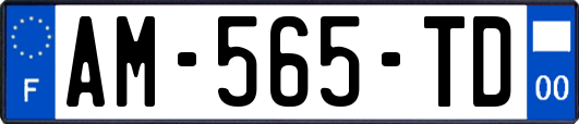 AM-565-TD