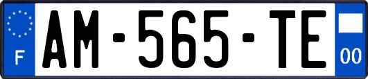 AM-565-TE