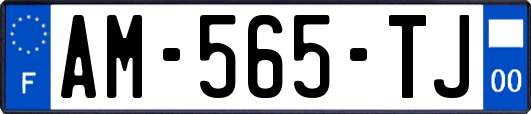 AM-565-TJ