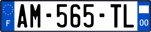 AM-565-TL