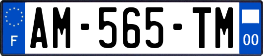 AM-565-TM