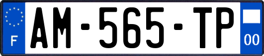 AM-565-TP