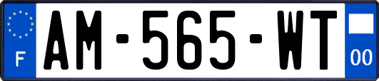AM-565-WT