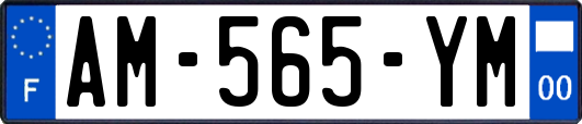 AM-565-YM