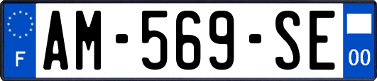 AM-569-SE