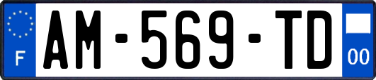 AM-569-TD