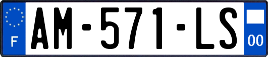 AM-571-LS