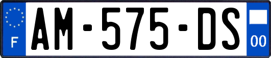 AM-575-DS