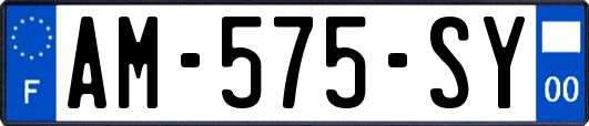 AM-575-SY