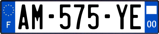 AM-575-YE