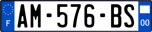 AM-576-BS