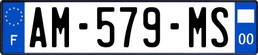 AM-579-MS