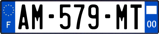 AM-579-MT