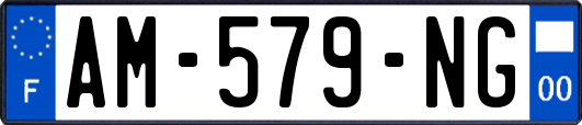 AM-579-NG
