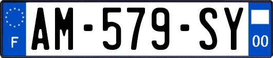 AM-579-SY