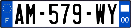 AM-579-WY