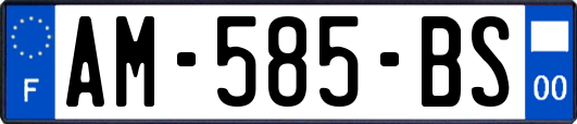 AM-585-BS