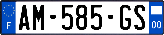 AM-585-GS