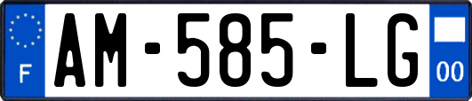 AM-585-LG