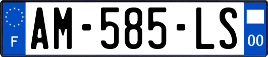 AM-585-LS